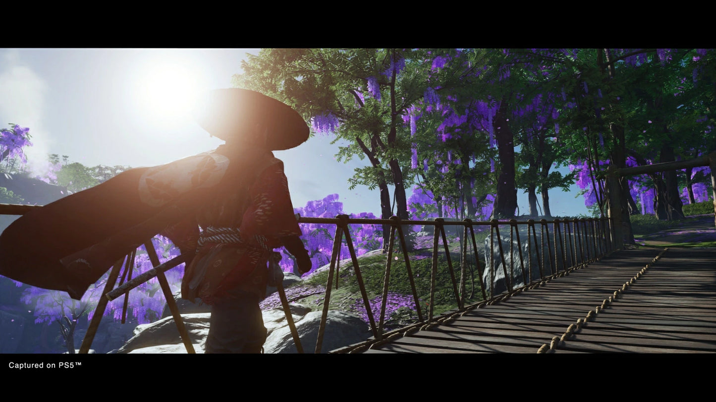 【PS5】死亡搁浅 导演剪辑版