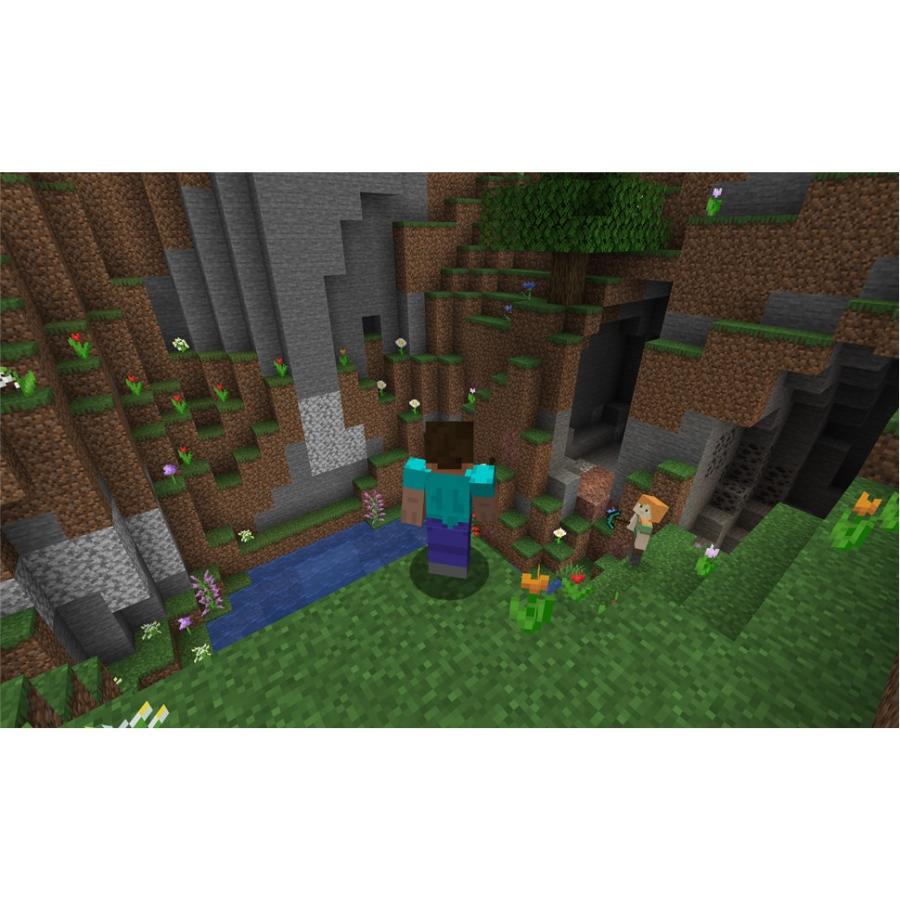 Minecraft: Java & 基岩 PC版【Region Free】