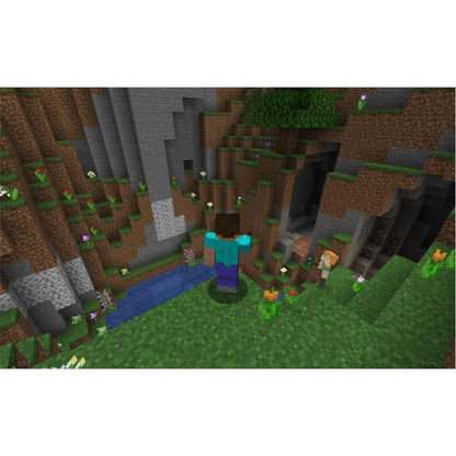 Minecraft: Java & 基岩 PC版【Region Free】