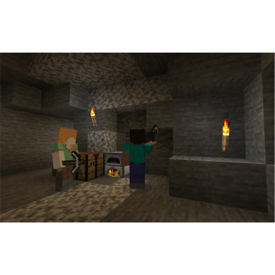Minecraft: Java & 基岩 PC版【Region Free】