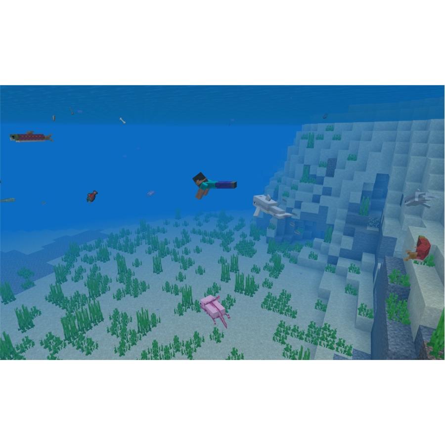 Minecraft: Java & 基岩 PC版【Region Free】